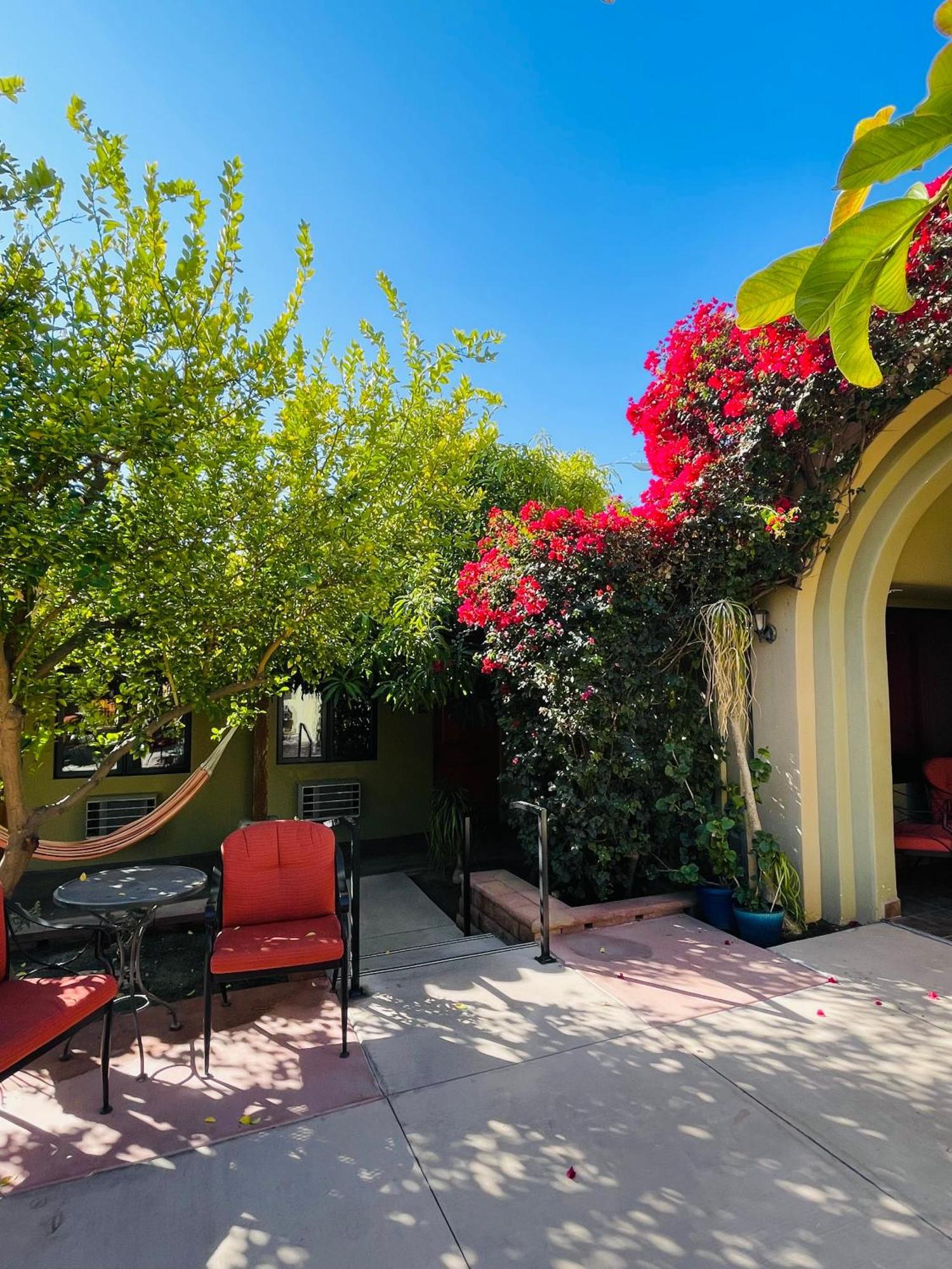 Los Arboles Hotel Palm Springs Eksteriør billede